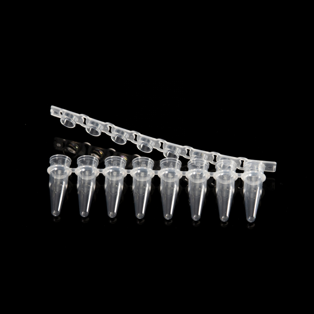 Conseil de pipette filtrante stérile 10UL