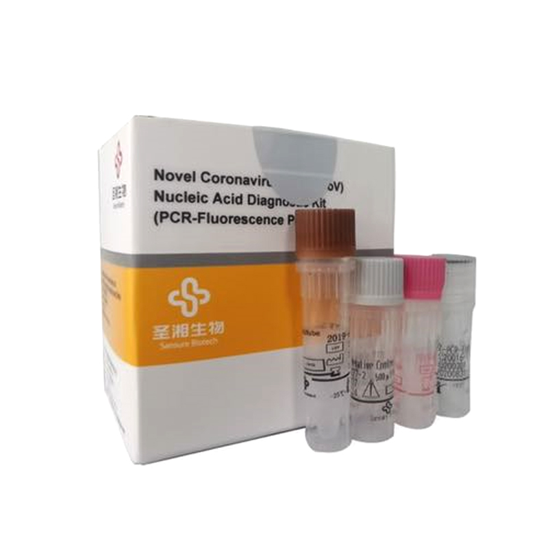 Kit de diagnostic d'acide nucléique sans solution CE FDA Certifié PCR Fluorescence PCR Sondage